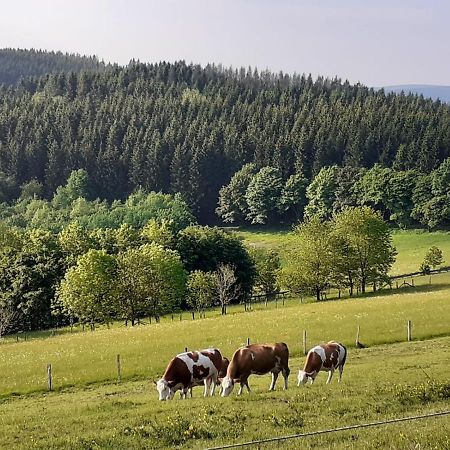 Ferienwohnung Jule Incl Sommer Card Winterberg Exteriör bild