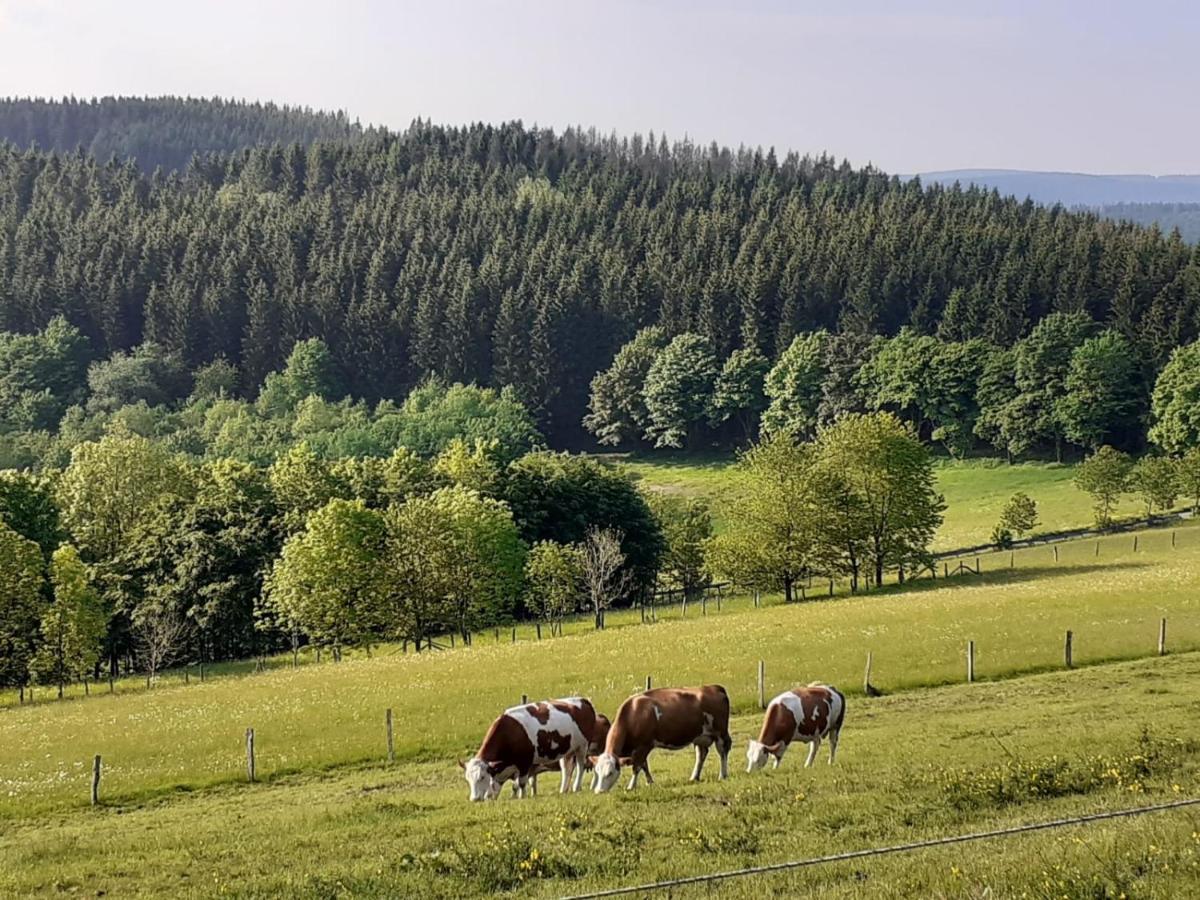 Ferienwohnung Jule Incl Sommer Card Winterberg Exteriör bild