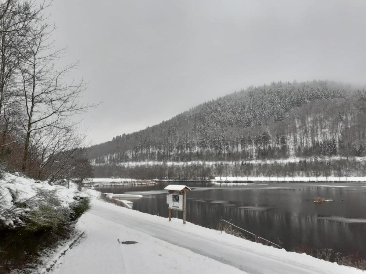 Ferienwohnung Jule Incl Sommer Card Winterberg Exteriör bild